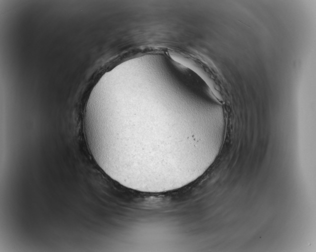 X0000088491160200706121544