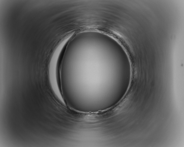 X0000088491161200706121544