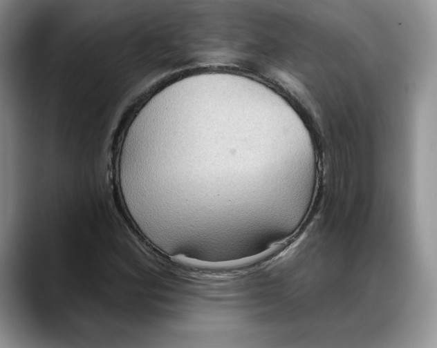 X0000088491164200706121544