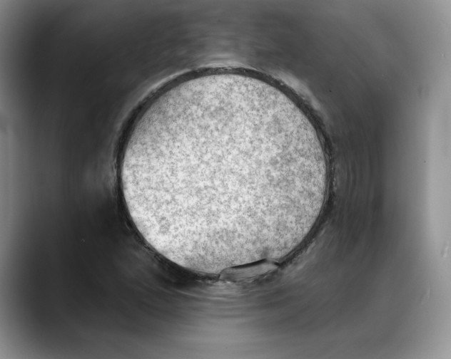 X0000088491167200706121544