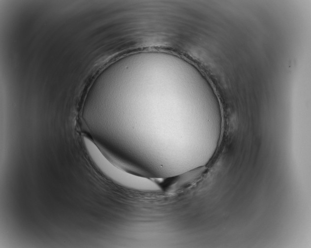 X0000088491169200706121544