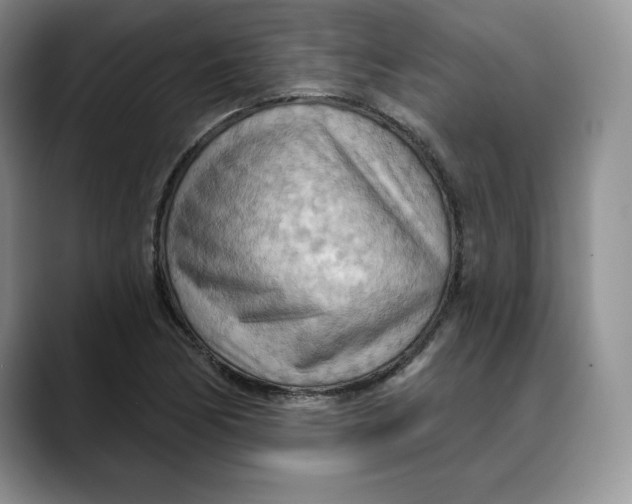 X0000088491170200706121544