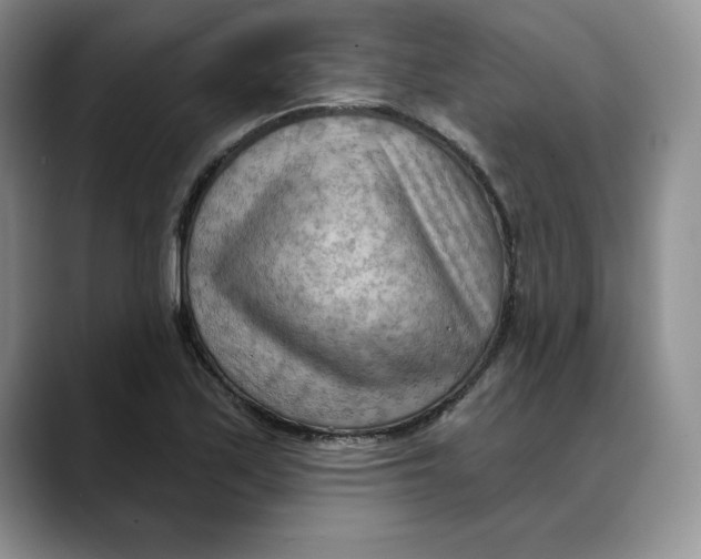 X0000088491171200706121543