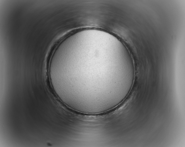 X0000088491172200706121543