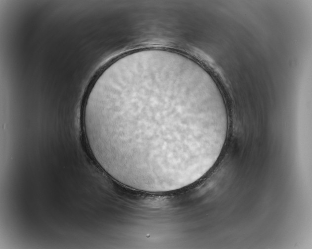 X0000088491174200706121543