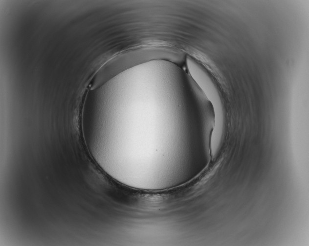 X0000088491177200706121543