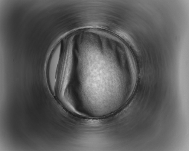 X0000088491180200706121543