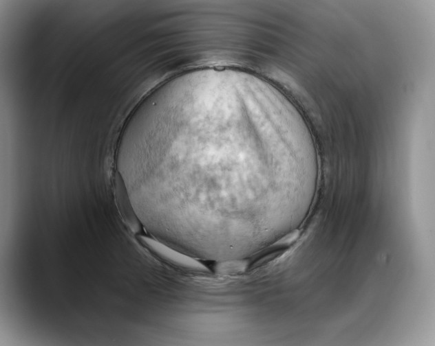 X0000088491185200706121543