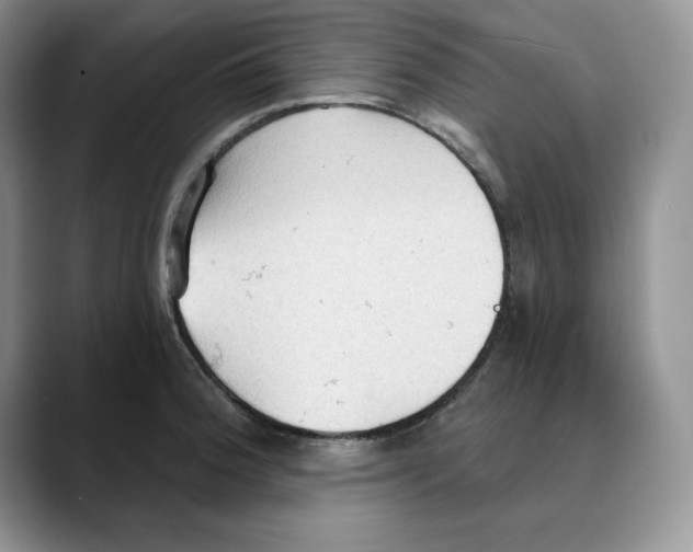 X0000088491188200706121543