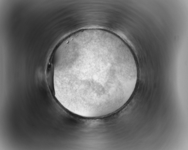 X0000088491189200706121543