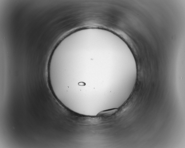 X0000088491191200706121543