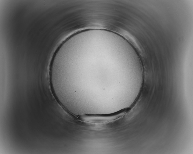 X0000088491192200706121543