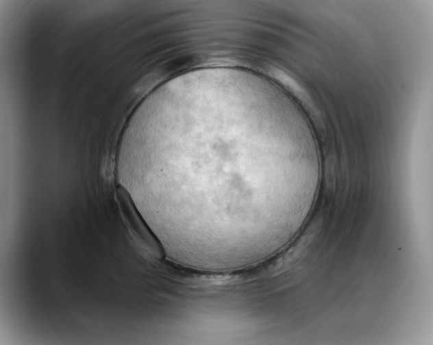 X0000088491193200706121543