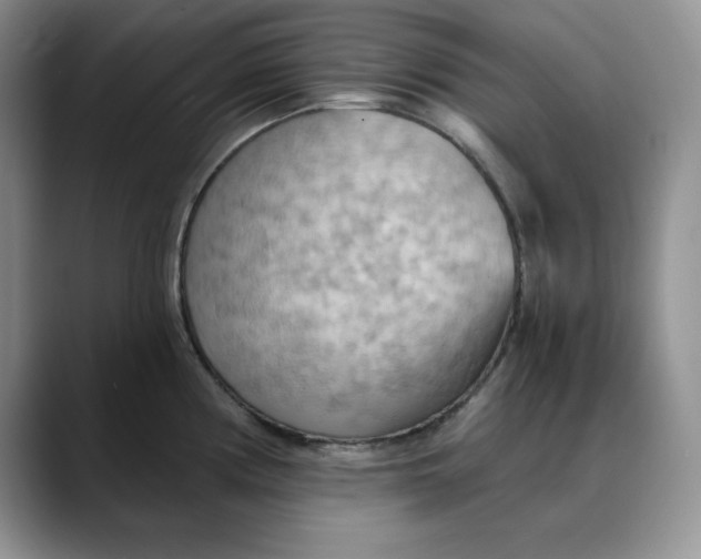 X0000088491194200706121543