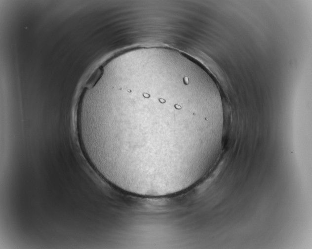 X0000088491196200706121543