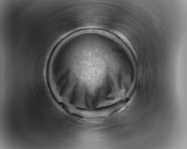 X0000088491197200706121543