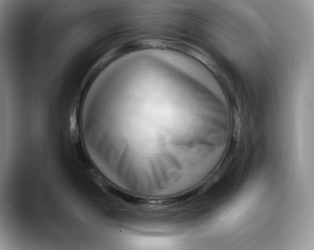 X0000088491198200706121543