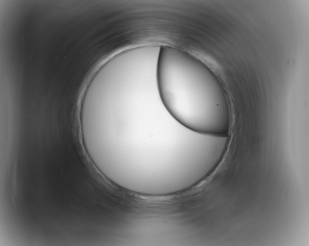 X0000088491200200706121543