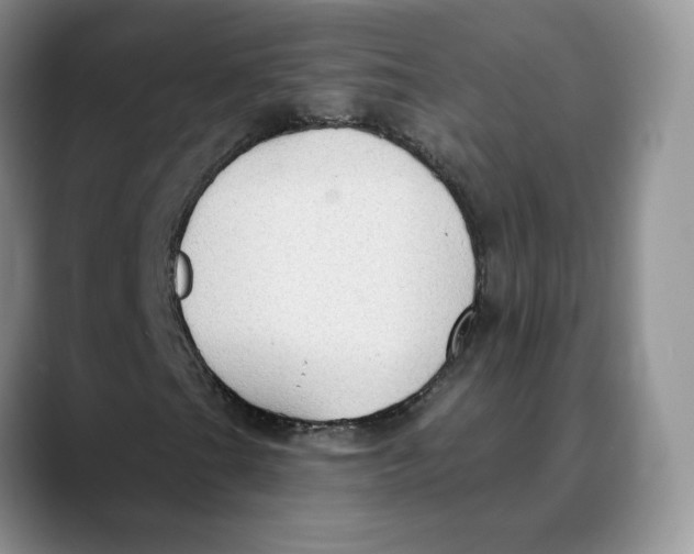 X0000088491201200706121543