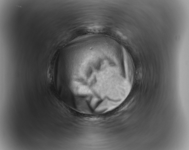 X0000088491202200706121543