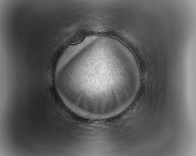 X0000088491205200706121543