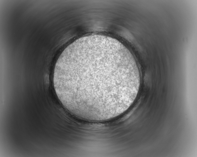 X0000088491209200706121543