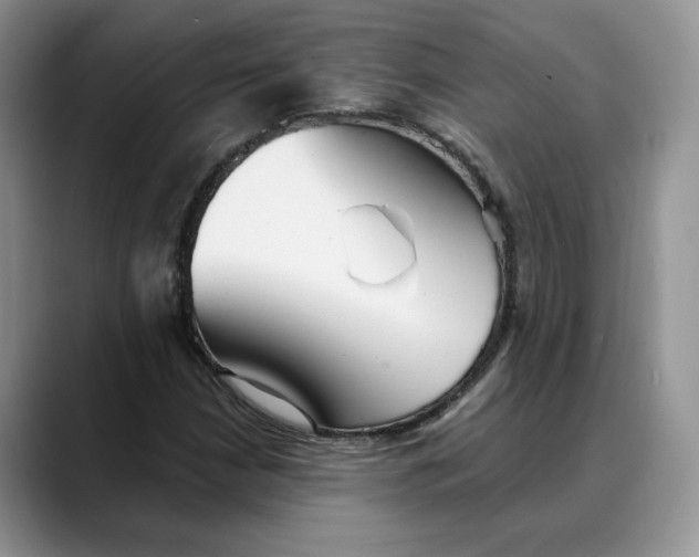 X0000088491210200706121543