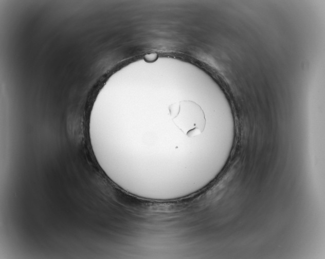 X0000088491211200706121543