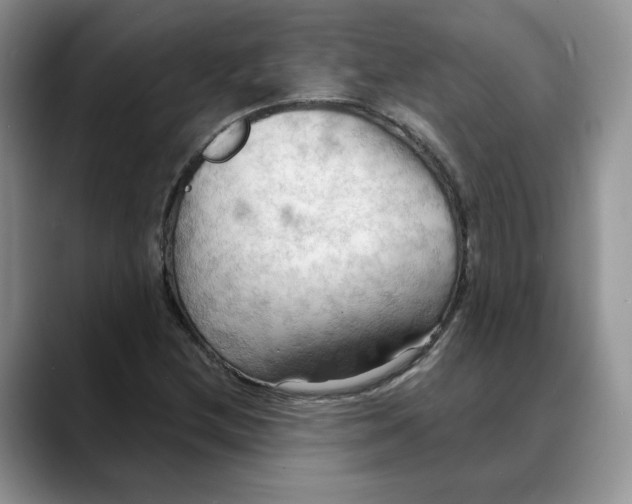 X0000088491212200706121543