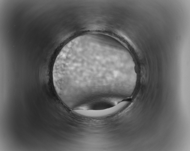 X0000088491213200706121543