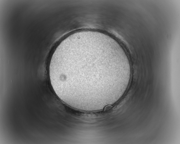 X0000088491215200706121543