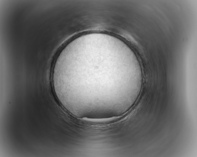 X0000088491216200706121543