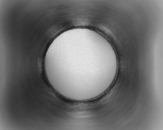 X0000088491217200706121543