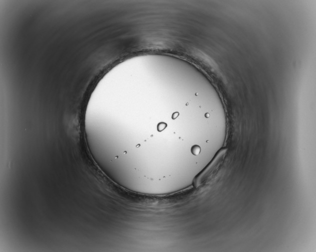 X0000088491218200706121543