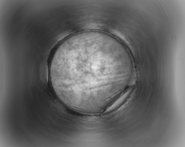 X0000088491219200706121543