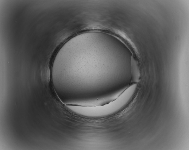 X0000088491221200706121543