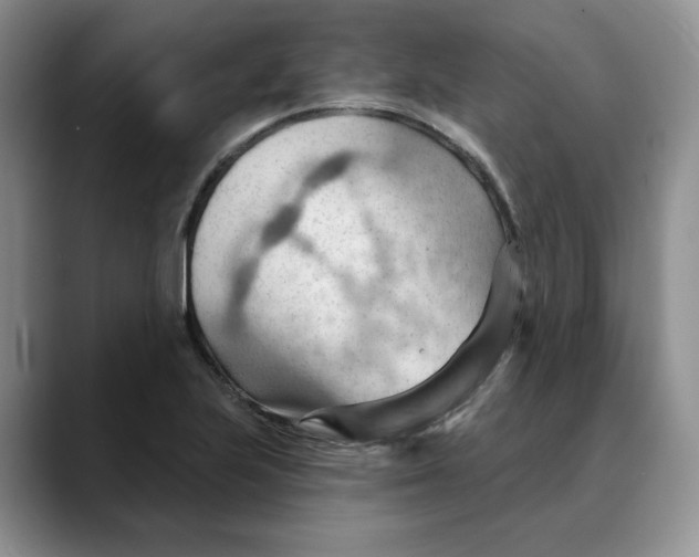 X0000088491223200706121543