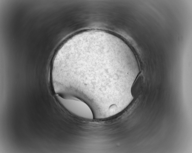 X0000088491224200706121543