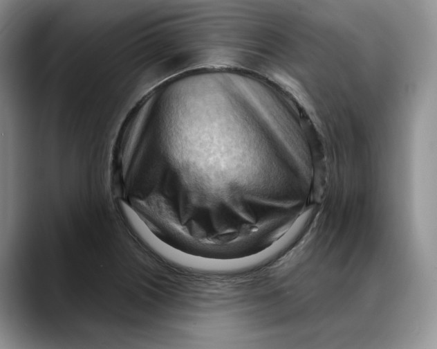 X0000088491226200706121543