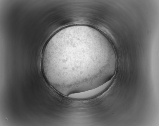 X0000088491228200706121543