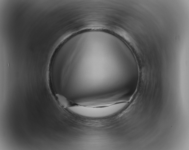 X0000088491229200706121543