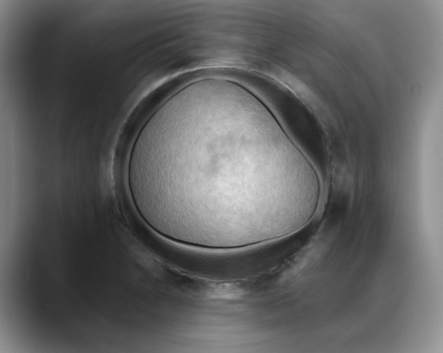 X0000088491230200706121543