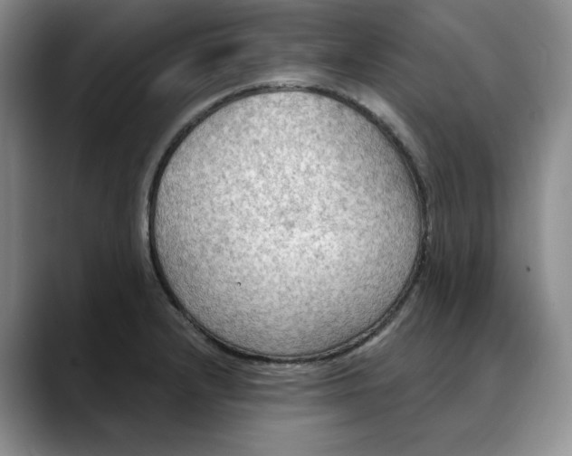 X0000088491232200706121543