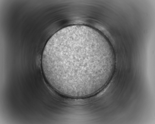 X0000088491233200706121543