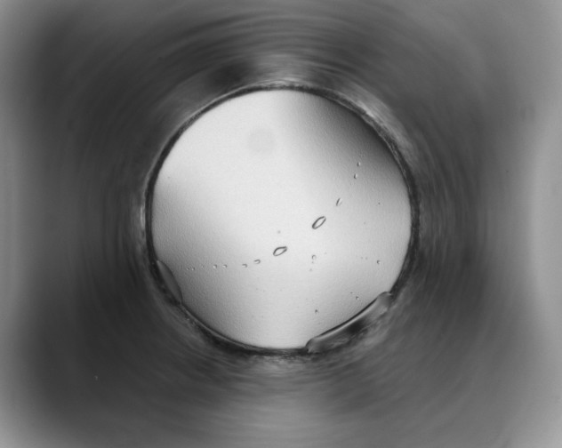 X0000088491234200706121543