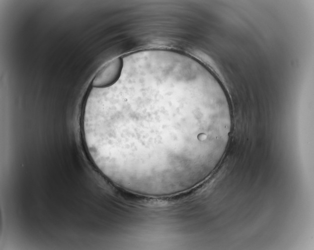 X0000088491235200706121543