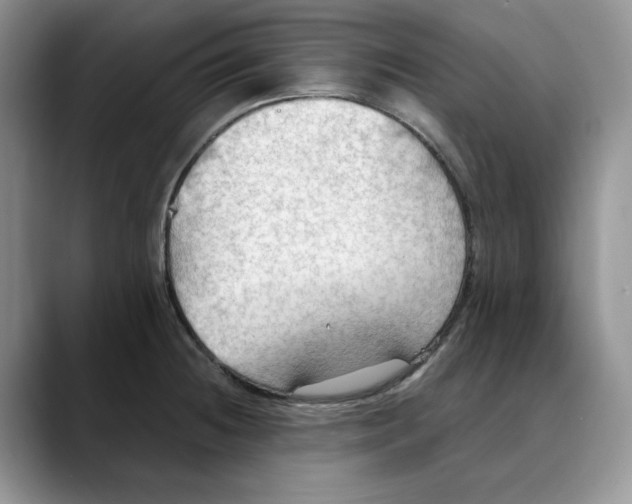 X0000088491236200706121543