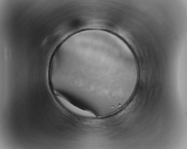 X0000088491237200706121543