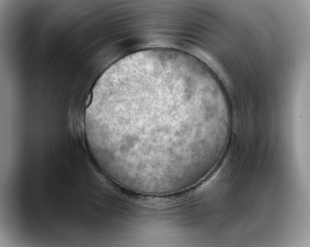 X0000088491241200706121543