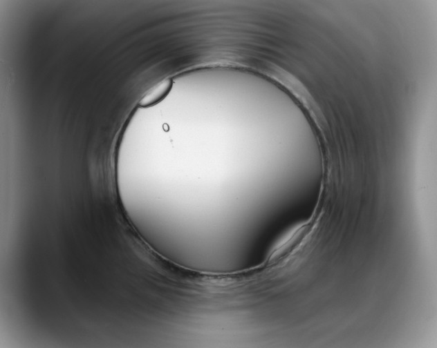 X0000088491242200706121543